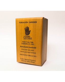 Galvano Caja de madera Alerce grande